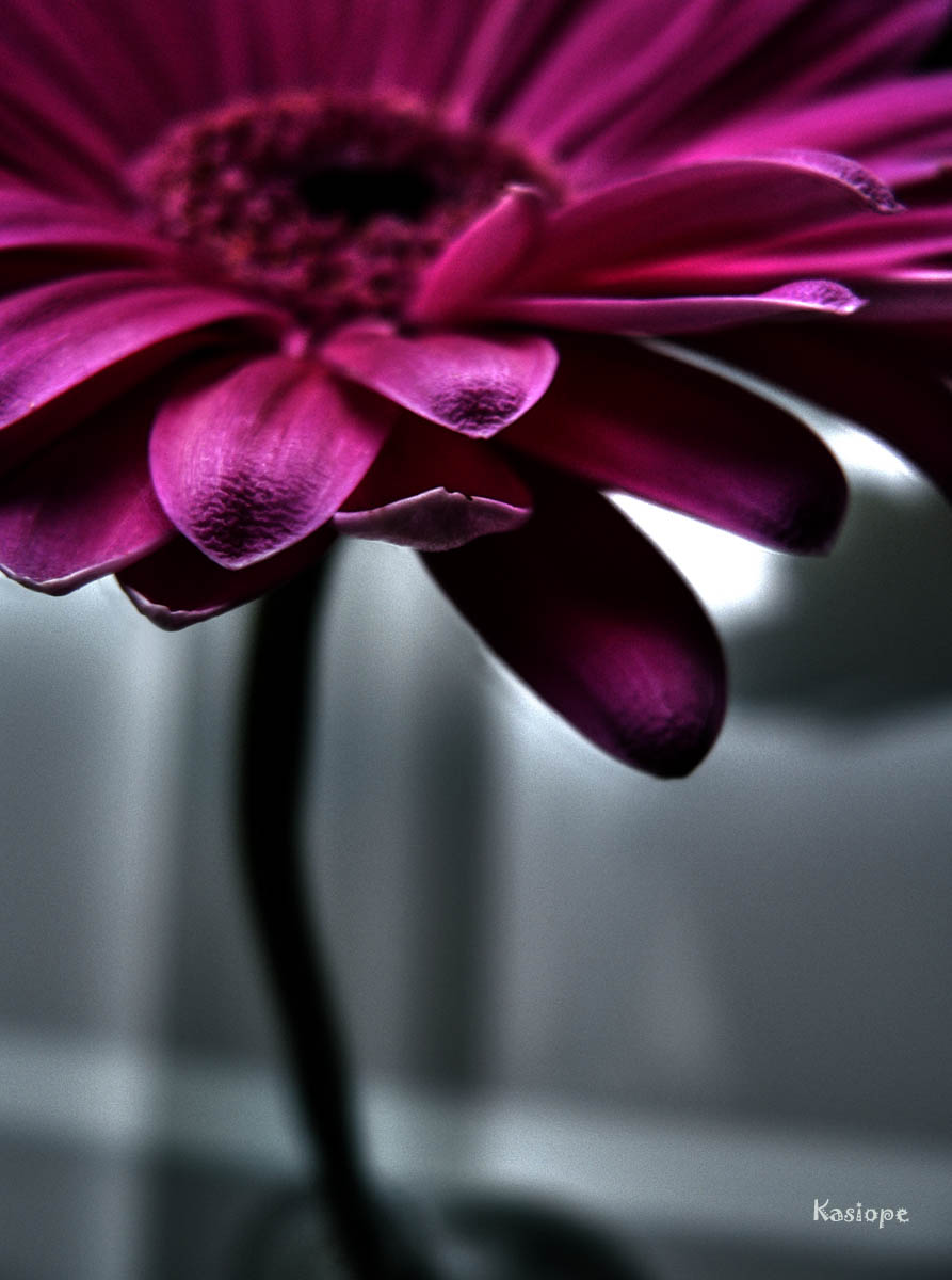 in-the-morning