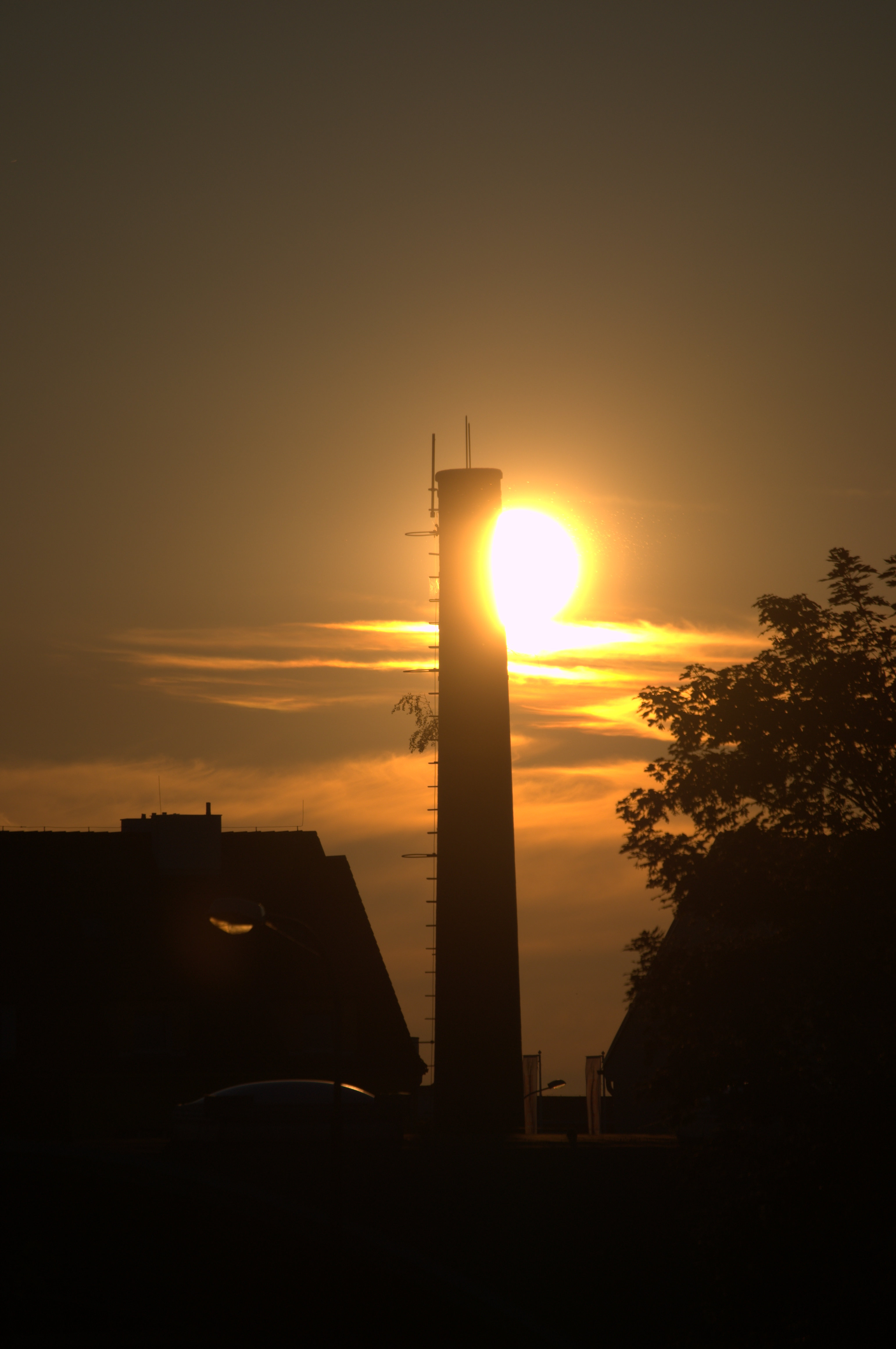 _DSC0003h